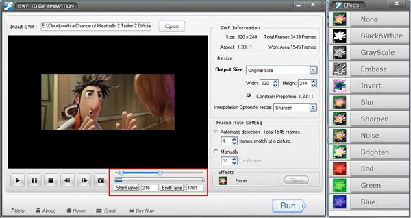 Input SWF File and Customize the Output